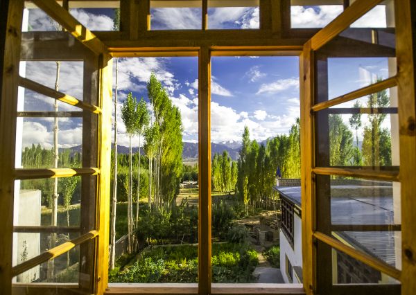 Cost of Wood Window Replacement in Brentwood